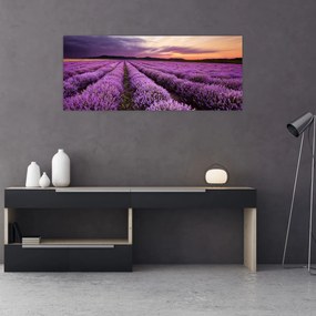 Obraz - Levanduľové pole pri západe slnka (120x50 cm)
