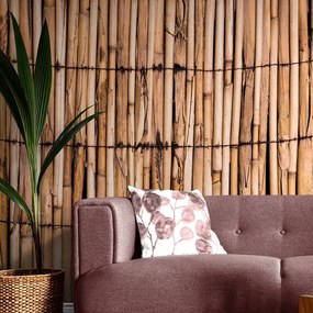 Fototapeta exotický bambus - 150x100