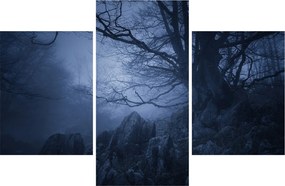 Obraz temného lesa (90x60 cm)
