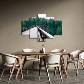 Obraz - Most k vrcholkom stromov (150x105 cm)