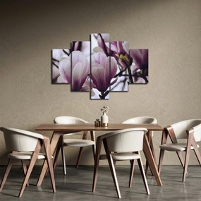 Obraz - Magnolie (150x105 cm)
