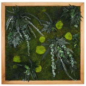 Machový obraz - mumifikované rastliny - 100x100cm - drevený rám svetlý