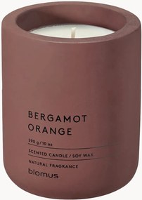Vonná sviečka Fraga (Bergamot & Orange)