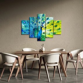 Obraz páva (150x105 cm)