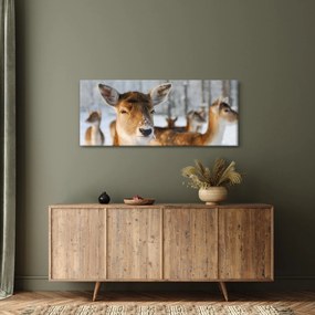 Obraz - Jeleňča (120x50 cm)