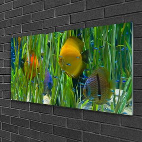 Skleneny obraz Ryba riasy príroda 125x50 cm