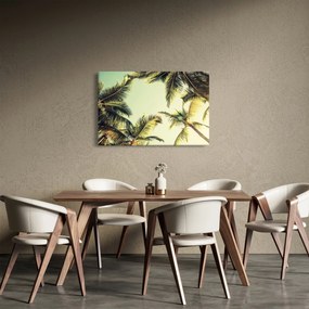 Obraz s kokosovými palmami (90x60 cm)