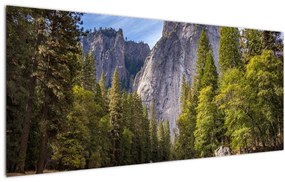 Obraz - Pod Yosemite skalou (120x50 cm)