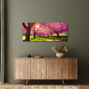 Obraz rozkvitnutých čerešní, Hurd Park, Dover, New Jersey (120x50 cm)