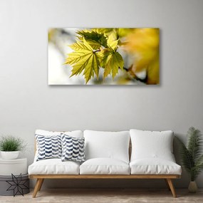 Obraz na plátne Listy rastlina 120x60 cm