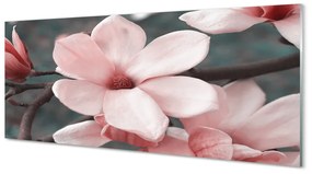 Obraz plexi Ružové kvety 120x60 cm