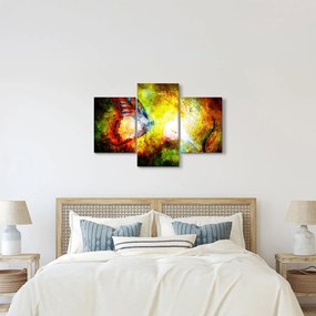Obraz - Kozmický motýľ (90x60 cm)
