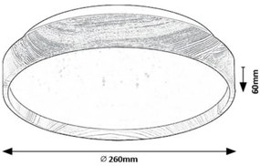 Rabalux 71143 - LED Stropné svietidlo LEANA LED/12W/230V 3000K pr. 26 cm