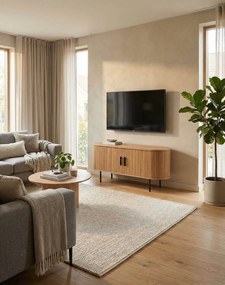 TV skrinka Loftwood (4805)