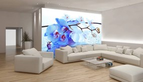 Fototapeta - Abstraktné kvetinové umenie (152,5x104 cm)