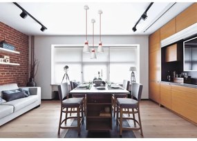 Luster na lanku NAOMI 1xE27/60W/230V