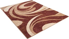 TA Koberec 2641D BROWN CHEAP PP BGX Hnedý Obdĺžnikový Rozmer: 80x150 cm