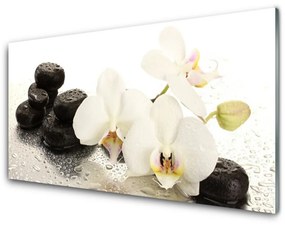 Skleneny obraz Kvet kamene rastlina 120x60 cm