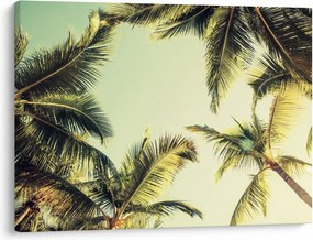 Obraz s kokosovými palmami (70x50 cm)