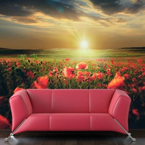 Artgeist Fototapeta - Morning on the poppy meadow Veľkosť: 200x154, Verzia: Premium