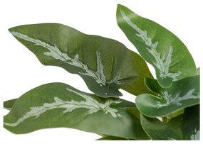 Umelá rastlina (výška 21 cm) Syngonium – Ixia