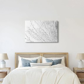 Obraz - Pampas grass N⁰2 (90x60 cm)