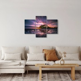 Obraz stromu na pláži (90x60 cm)