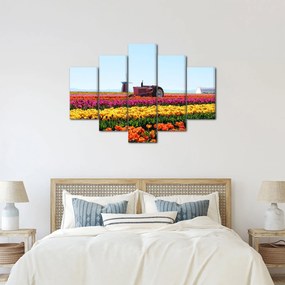 Obraz tulipánové farmy (150x105 cm)