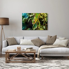 Obraz chameleóna (90x60 cm)