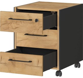 Skrinka v dekore duba v antracitovo-prírodnej farbe 42x54x49 cm Podium – Germania