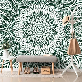 Tapeta Mandala harmónie na zelenom pozadí