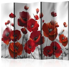 Artgeist Paraván - Poppies in the Moonlight II [Room Dividers]