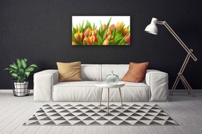 Obraz Canvas Tulipány kvety rastlina 125x50 cm