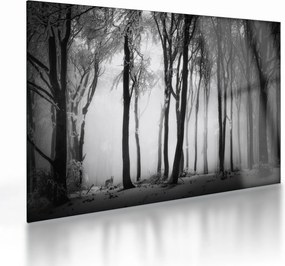 Sklenený obraz - Vlk v temnom lese (70x50 cm)
