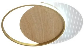 LED Stmievateľné stropné svietidlo LED/60W/230V 3000-6500K + diaľkové ovládanie