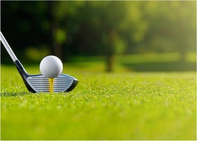 Obraz - Golf (70x50 cm)