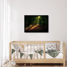 Sklenený obraz lesnej cesty (70x50 cm)
