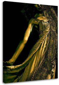 Obraz na plátně, Zlatý půvab ženy - 60x90 cm