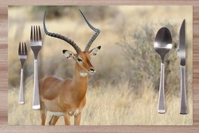 Prestieranie Antilopa