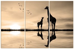 Obraz na plátne - Žirafy silueta 1919FB (135x90 cm)