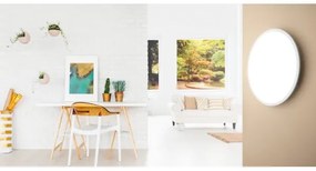 Eglo 98208 - LED Stmievateľné stropné svietidlo SARSINA-A LED/19,5W/230V + DO