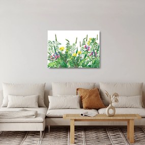 Sklenený obraz - Maľované lúčne kvety (70x50 cm)