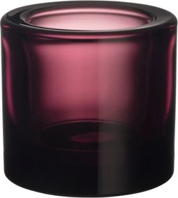 Svietnik Kivi, ružový calluna