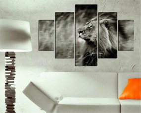 Viacdielny obraz RUNNING LION 205 92 x 56 cm