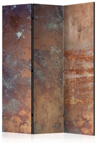 Artgeist Paraván - Rusty Plate [Room Dividers]
