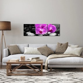 Obraz - Fialové orchidey (s hodinami) (90x30 cm)