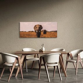 Obraz - Príchod slona (120x50 cm)