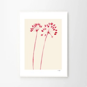 Moikka Plagát Flowers 02 by Ana Frois 30x40