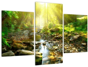 Obraz rieky v zelenom lese (90x60 cm)