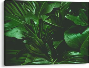 Obraz - Palmové listy (70x50 cm)
